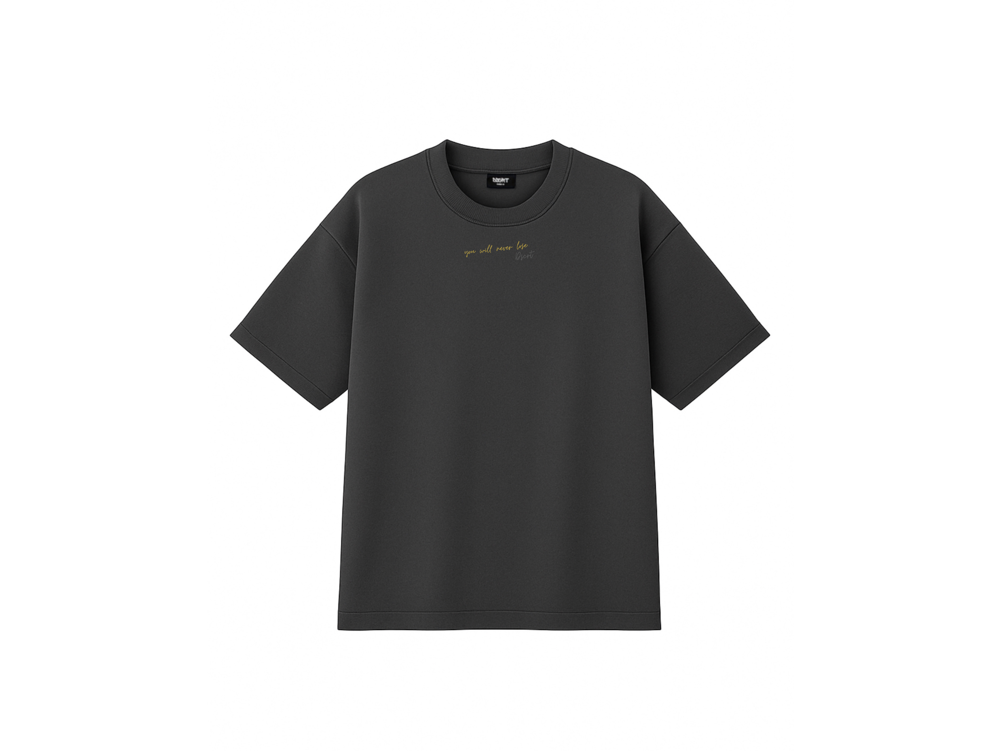 Playera DSCRT “Art of Accepting Defeat”