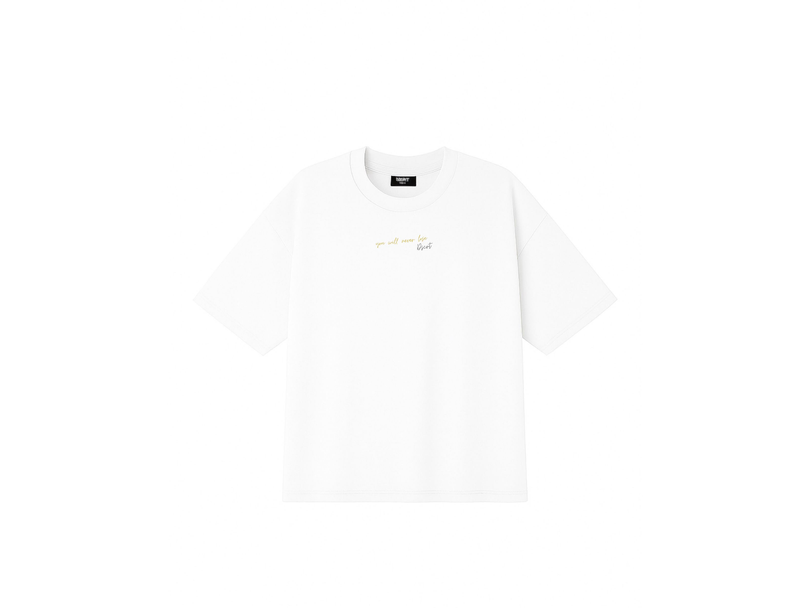 Playera DSCRT “Art of Accepting Defeat”